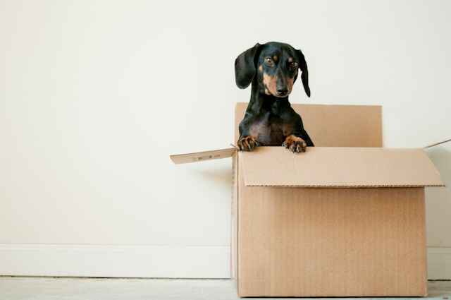 movers in nairobi kenya